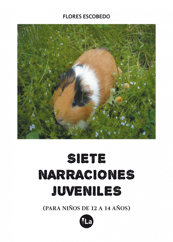 Siete narraciones juveniles